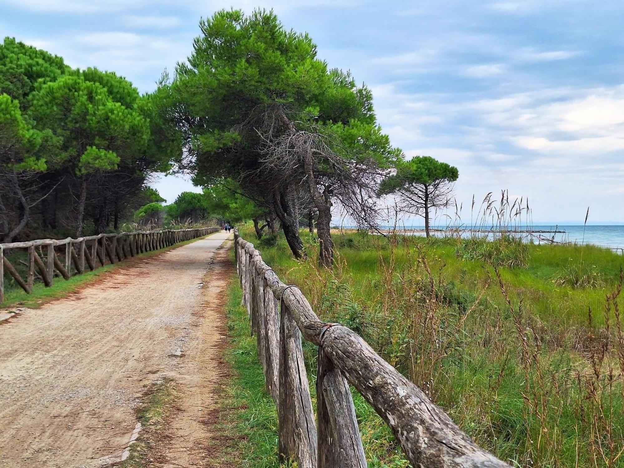Beautiful Apartment Close To Bibione Beach - Beahost Экстерьер фото